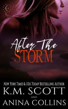 After The Storm Read online