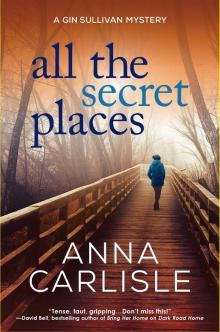 All the Secret Places Read online
