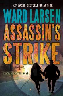 Assassin's Strike Read online