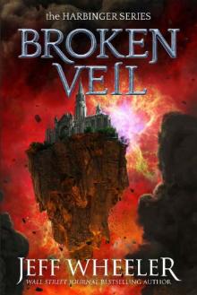 Broken Veil Read online