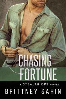 Chasing Fortune (Stealth Ops Book 8) Read online
