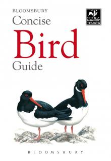 Concise Bird Guide Read online
