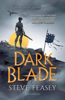Dark Blade Read online