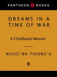Dreams in a Time of War Read online