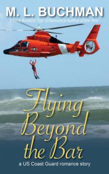 Flying Beyond the Bar Read online