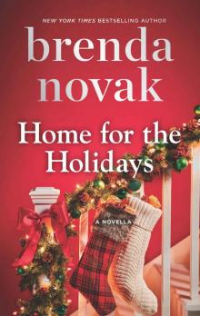 Home for the Holidays (Silver Springs) Read online