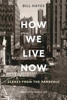 How We Live Now Read online