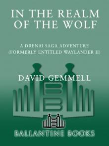 In the Realm of the Wolf Read online
