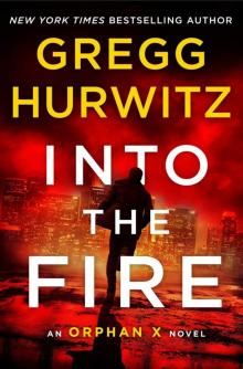 Into the Fire Read online