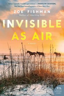Invisible as Air Read online