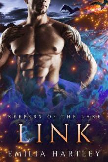Link (Keepers Of The Lake Book 5) Read online