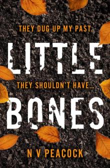 Little Bones Read online