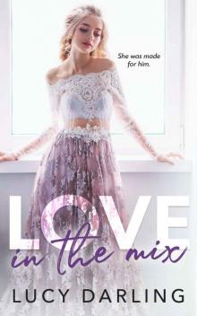 Love in the Mix Read online
