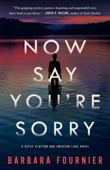 Now Say You're Sorry