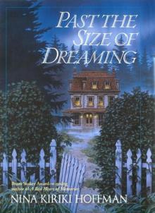 Past the Size of Dreaming Read online