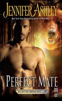 Perfect Mate Read online