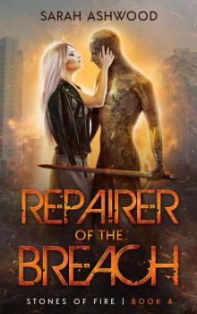 Repairer of the Breach (Stones of Fire Book 4) Read online