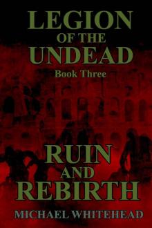 Ruin and Rebirth Read online