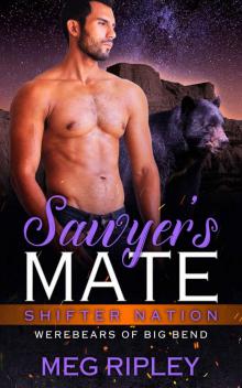 Sawyer's Mate (Shifter Nation: Werebears Of Big Bend) Read online