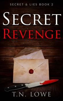 Secret Revenge Read online