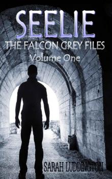 Seelie (The Falcon Grey Files Book 1) Read online