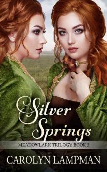 Silver Springs Read online