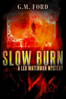 Slow Burn Read online