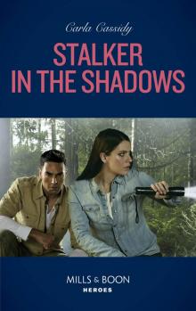 Stalker In the Shadows Read online