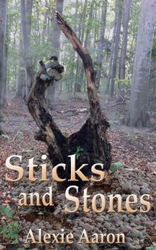 Sticks and Stones Read online