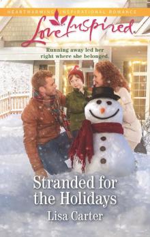 Stranded for the Holidays Read online