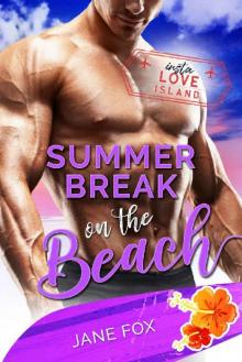 Summer Break on the Beach Read online
