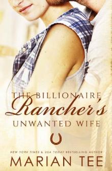 The Billionaire Rancher's Unwanted Wife: A Modern Day Small Town Romance (Evergreen's Mail-Order Brides Book 3)