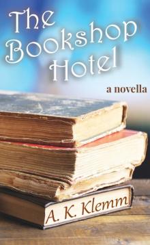 The Bookshop Hotel Read online