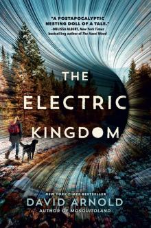 The Electric Kingdom Read online