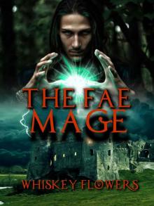 The Fae Mage Read online