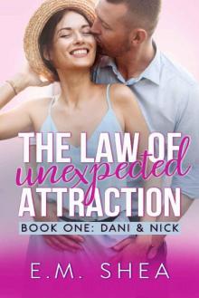 The Law of Unexpected Attraction: An Enemies to Lovers Romantic Comedy (Book 1: Dani & Nick) Read online