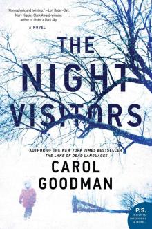 The Night Visitors Read online