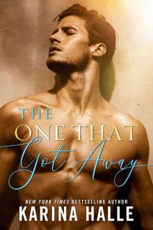 The One That Got Away: A Novel Read online
