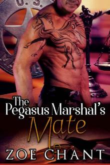 The Pegasus Marshal's Mate (U.S. Marshal Shifters Book 2) Read online