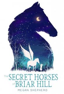 The Secret Horses of Briar Hill Read online