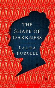 The Shape of Darkness Read online