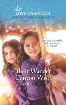 Their Wander Canyon Wish Read online
