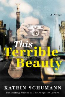 This Terrible Beauty: A Novel Read online