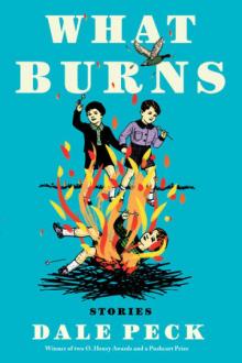 What Burns Read online