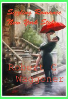 Sizzling Romance New York Style Read online