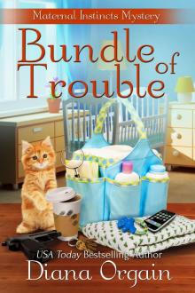 Bundle of Trouble Read online