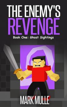 The Enemy's Revenge, Book One: Ghost Sightings Read online