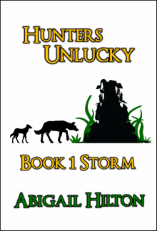 Hunters Unlucky, Book 1 Storm