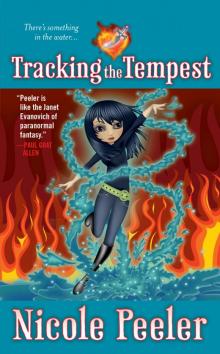Tracking the Tempest Read online