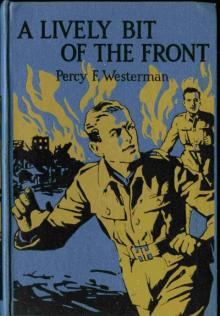 A Lively Bit of the Front: A Tale of the New Zealand Rifles on the Western Front Read online